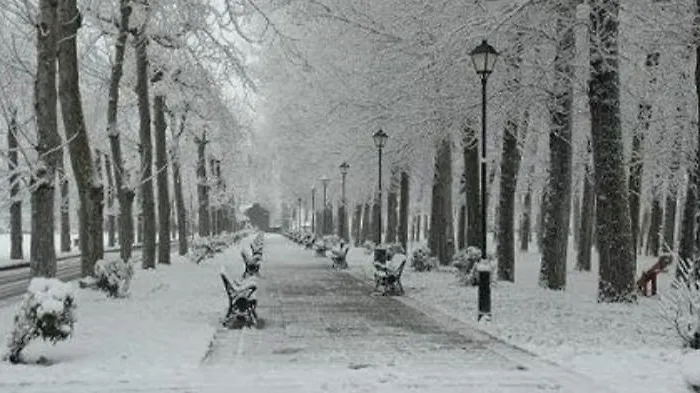 La Casita De La Neka Apartament Villarcayo de Merindad de Castilla la Vieja